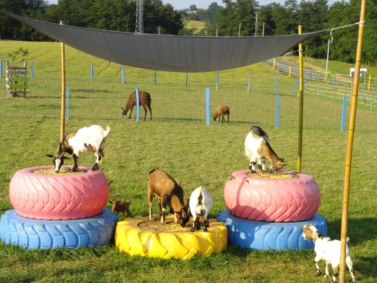 Bed and Breakfast La Petite Ferme De Pouillon - Parc Animalier - Aire De Loisirs Esterno foto